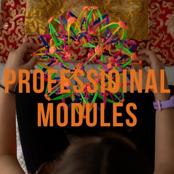 Professional Modules Access (payment plan)