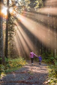 family in forest - Nurturing Children's Mental Health