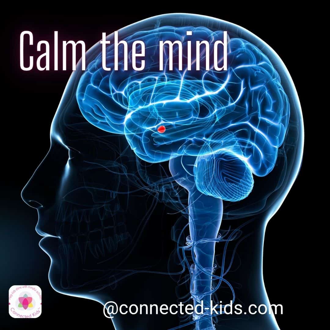 Meditation Practice Club - kids to adults - Imagen 8