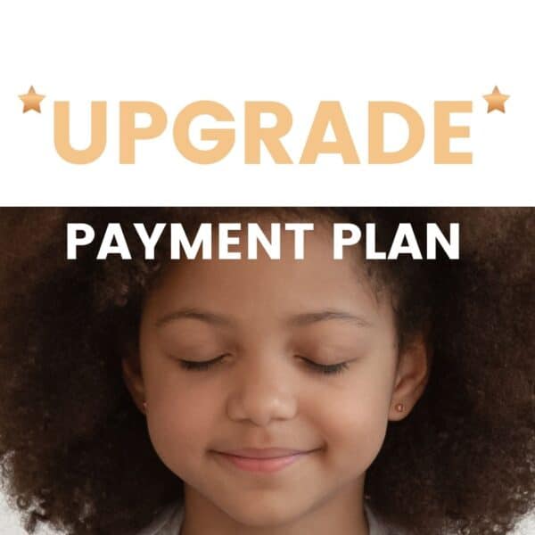 upgrade payment plan