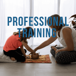 Professional Meditation Training