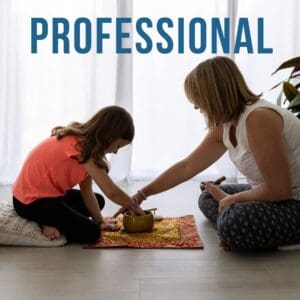 Professional meditation teacher training