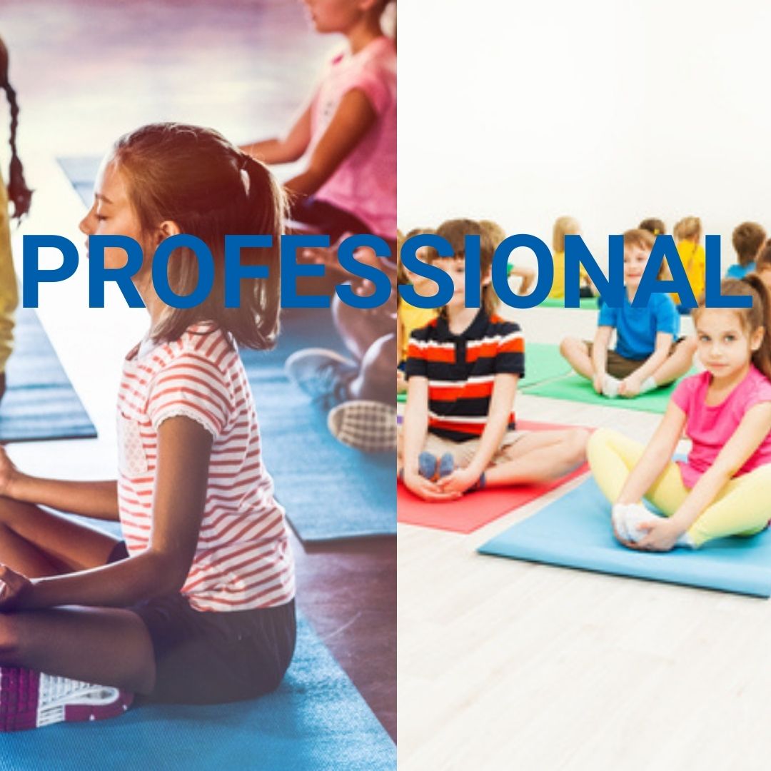 Professional training