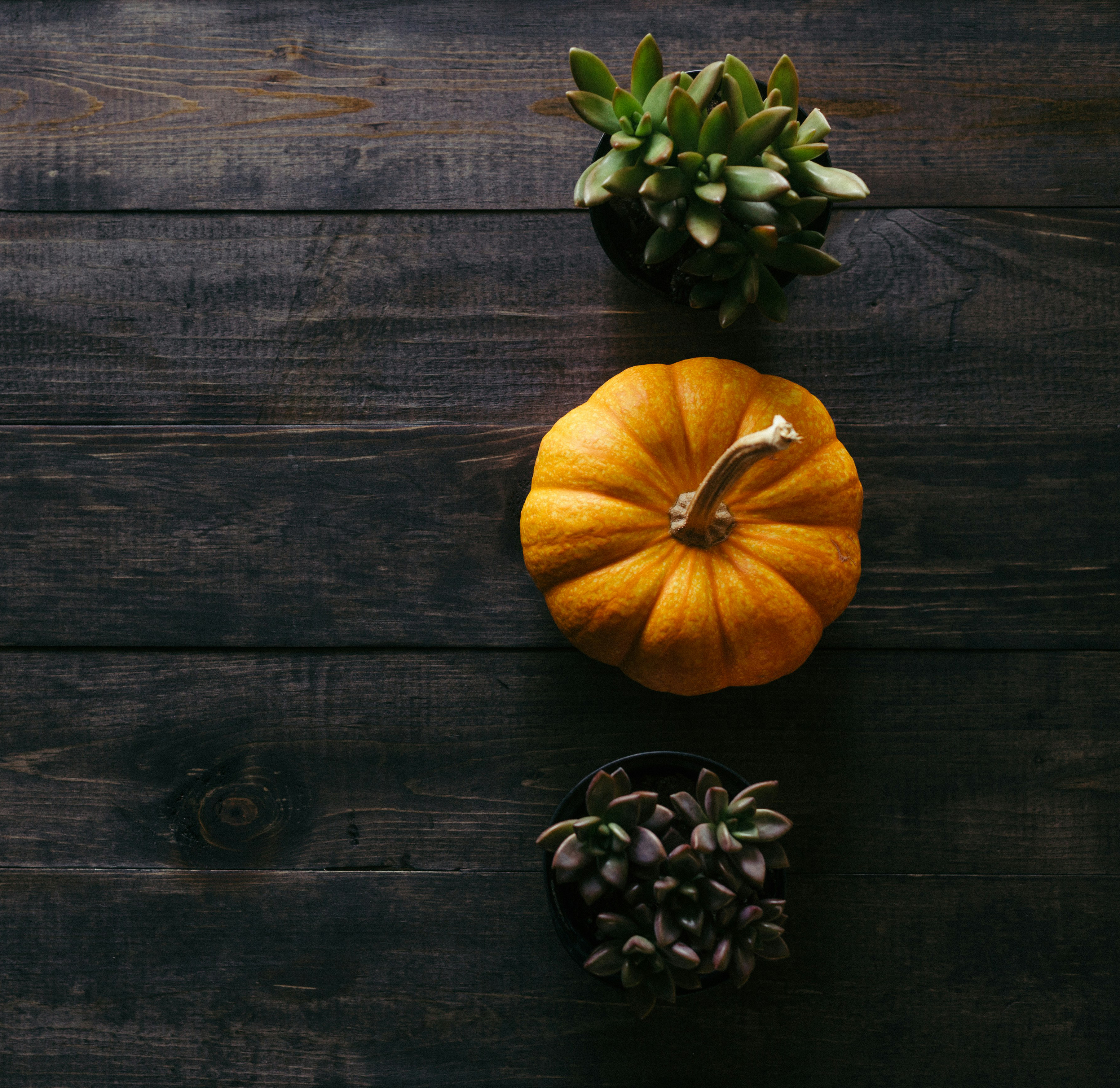 Thanksgiving Meditation - Gratitude for Kids and Teens - tips