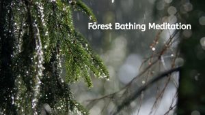 How Nature Supports Children's Mental Health and Wellbeing forest bathing meditation on youtube