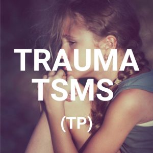 trauma sensitive mindful skills for trauma professionals