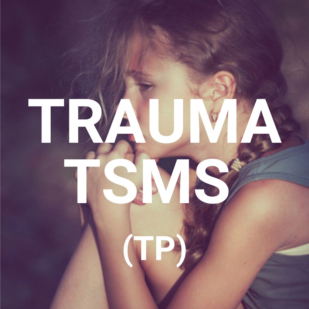 trauma sensitive mindful skills for trauma professionals